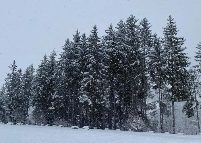 Maison Poluc - Carpe Diem 3* Champoluc